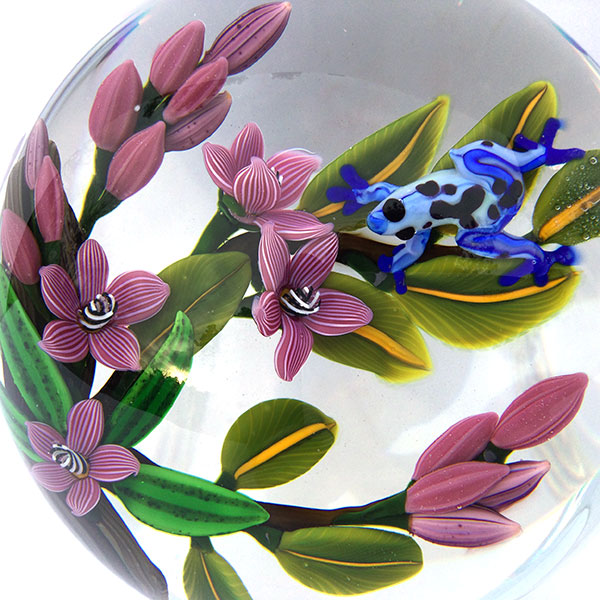 A Prince Unkissed – Blue Poison Dart Frog